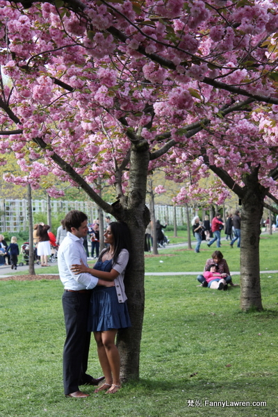 櫻花 Sakura cherry blossom at Brooklyn Botanic Garden