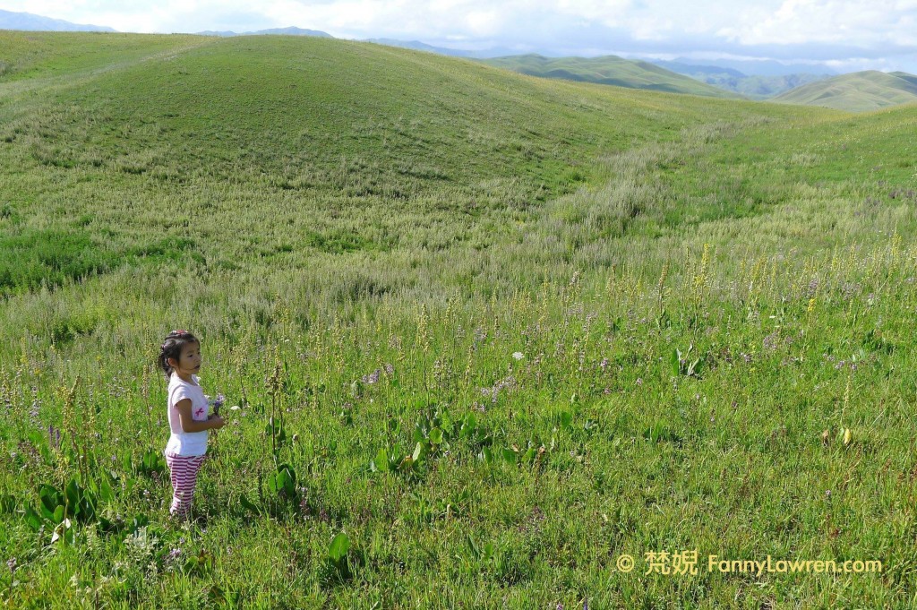 我新認識的小朋友在新疆伊犁的大草原上採花跳舞 2012.07